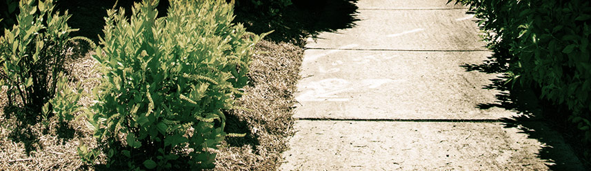 攻击网站的方法